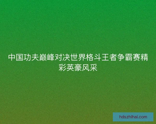中国功夫巅峰对决世界格斗王者争霸赛精彩英豪风采