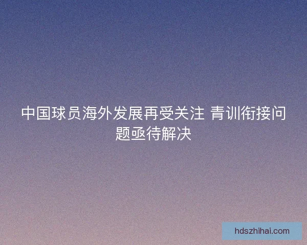 中国球员海外发展再受关注 青训衔接问题亟待解决 中国球员海外发展再受关注 青训衔接问题亟待解决