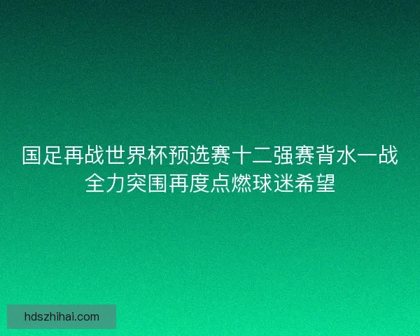 国足再战世界杯预选赛十二强赛背水一战全力突围再度点燃球迷希望